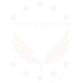 Patriot Airboats, Logo (white, transparent)